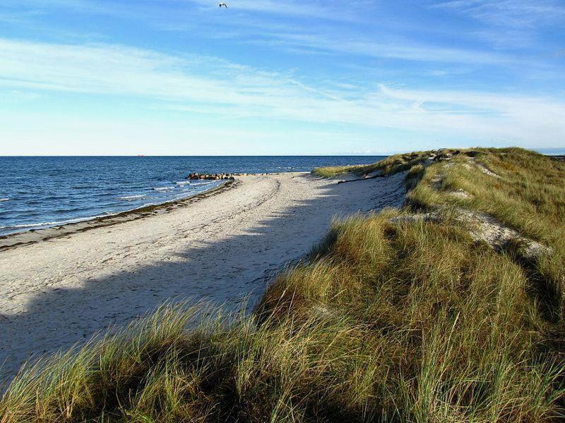 Stylische Ferienwohnung Top Lage Am Hafen, Strand Und Meer Wendtorf 외부 사진